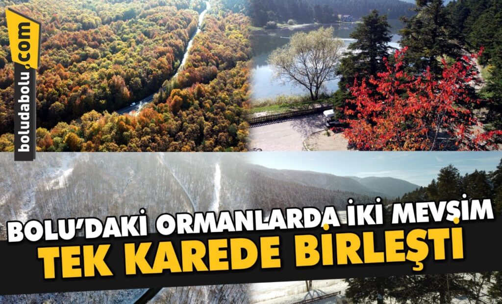 Bolu’daki ormanlarda iki mevsim tek karede birleşti Bolu’daki ormanlarda iki mevsim tek karede birleşti