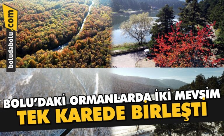 Bolu’daki ormanlarda iki mevsim tek karede birleşti