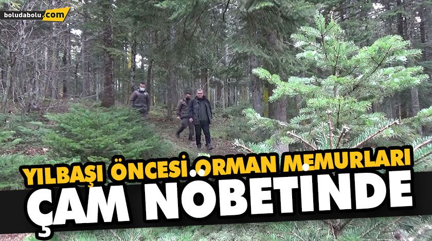 YILBAŞI ÖNCESİ ORMAN MEMURLARI ÇAM NÖBETİNDE YILBAŞI ÖNCESİ ORMAN MEMURLARI ÇAM NÖBETİNDE
