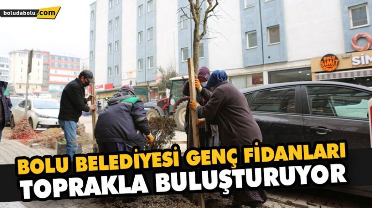 BOLU BELEDİYESİ GENÇ FİDANLARI TOPRAKLA BULUŞTURUYOR