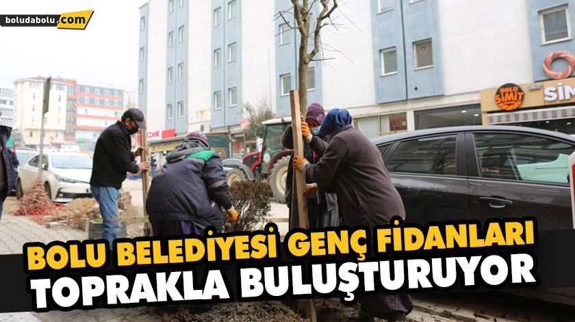 BOLU BELEDİYESİ GENÇ FİDANLARI TOPRAKLA BULUŞTURUYOR BOLU BELEDİYESİ GENÇ FİDANLARI TOPRAKLA BULUŞTURUYOR