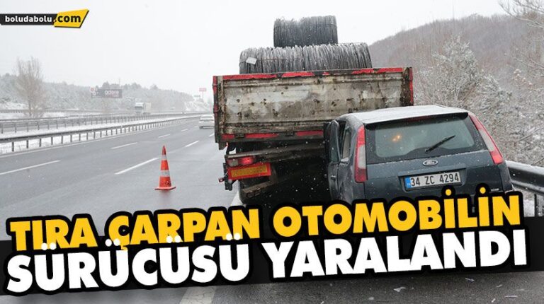 TIRA ÇARPAN OTOMOBİLİN SÜRÜCÜSÜ YARALANDI
