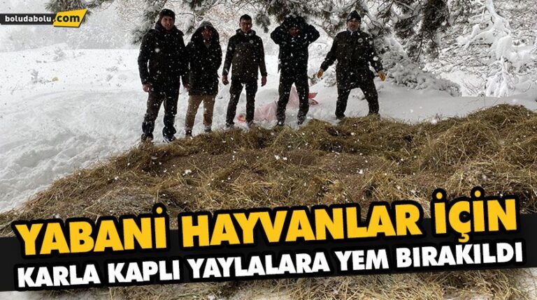 YABANİ HAYVANLAR İÇİN KARLA KAPLI YAYLALARA YEM BIRAKILDI