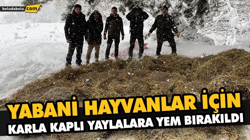 YABANİ HAYVANLAR İÇİN KARLA KAPLI YAYLALARA YEM BIRAKILDI YABANİ HAYVANLAR İÇİN KARLA KAPLI YAYLALARA YEM BIRAKILDI