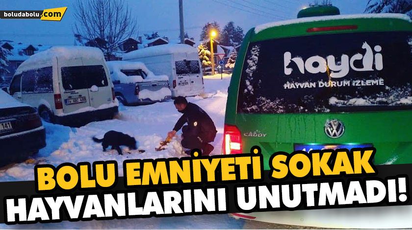 BOLU EMNİYETİ SOKAK HAYVANLARINI UNUTMADI! BOLU EMNİYETİ SOKAK HAYVANLARINI UNUTMADI!