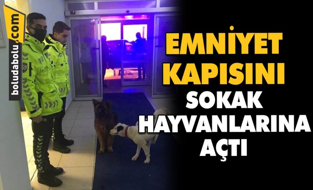 EMNİYET KAPISINI SOKAK HAYVANLARINA AÇTI