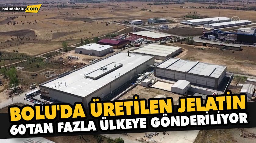 BOLU’DA ÜRETİLEN JELATİN 60’TAN FAZLA ÜLKEYE GÖNDERİLİYOR BOLU’DA ÜRETİLEN JELATİN 60’TAN FAZLA ÜLKEYE GÖNDERİLİYOR