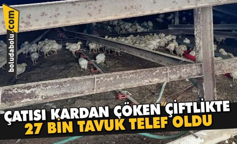 Düzce’de çatısı kardan çöken çiftlikte 27 bin tavuk telef oldu