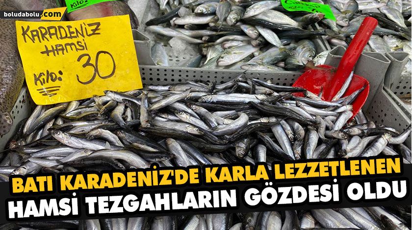 BATI KARADENİZ’DE KARLA LEZZETLENEN HAMSİ TEZGAHLARIN GÖZDESİ OLDU BATI KARADENİZ’DE KARLA LEZZETLENEN HAMSİ TEZGAHLARIN GÖZDESİ OLDU