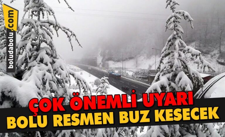 BOLU RESMEN BUZ KESECEK