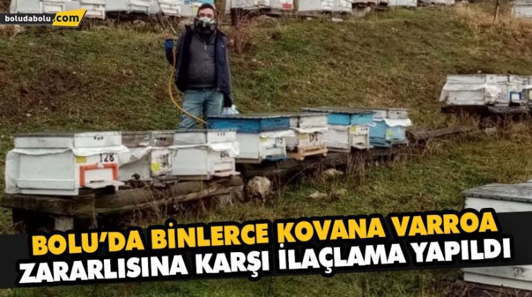 BOLU’DA BİNLERCE KOVANA VARROA ZARARLISINA KARŞI İLAÇLAMA YAPILDI