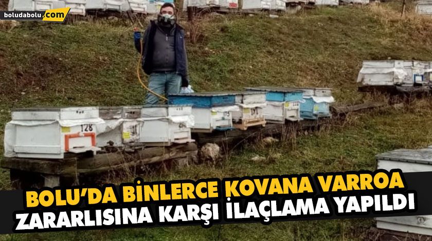 BOLU’DA BİNLERCE KOVANA VARROA ZARARLISINA KARŞI İLAÇLAMA YAPILDI BOLU’DA BİNLERCE KOVANA VARROA ZARARLISINA KARŞI İLAÇLAMA YAPILDI