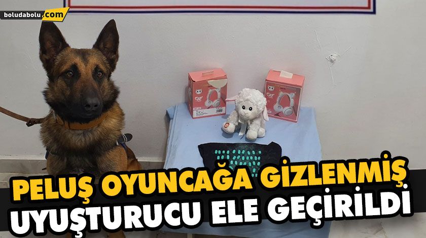 OYUNCAĞIN İÇİNE SAKLADIĞI UYUŞTURUCU HAPLARLA YAKALANDI OYUNCAĞIN İÇİNE SAKLADIĞI UYUŞTURUCU HAPLARLA YAKALANDI