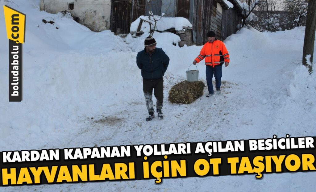 Bolu’da kardan kapanan yolu açılan besiciler hayvanları için ot taşıyor