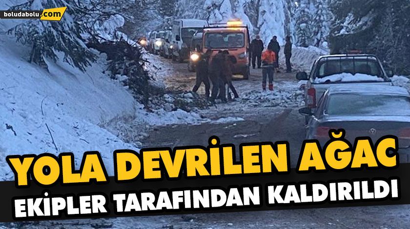 YOLA DEVRİLEN AĞAC EKİPLER TARAFINDAN KALDIRILDI YOLA DEVRİLEN AĞAC EKİPLER TARAFINDAN KALDIRILDI