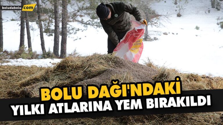 YILKI ATLARINA YEM BIRAKILDI