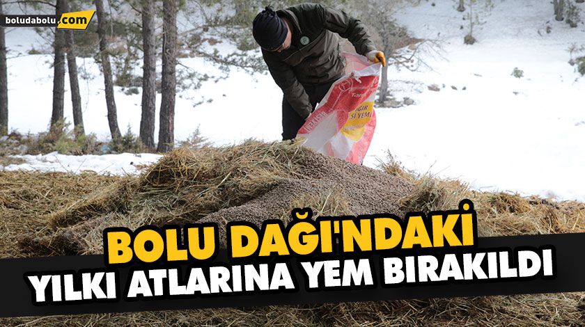 YILKI ATLARINA YEM BIRAKILDI YILKI ATLARINA YEM BIRAKILDI
