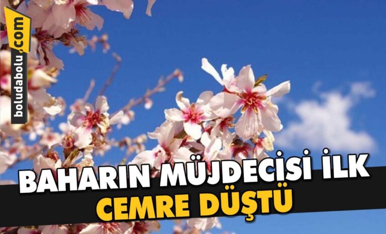 BAHARIN MÜJDECİSİ İLK CEMRE DÜŞTÜ