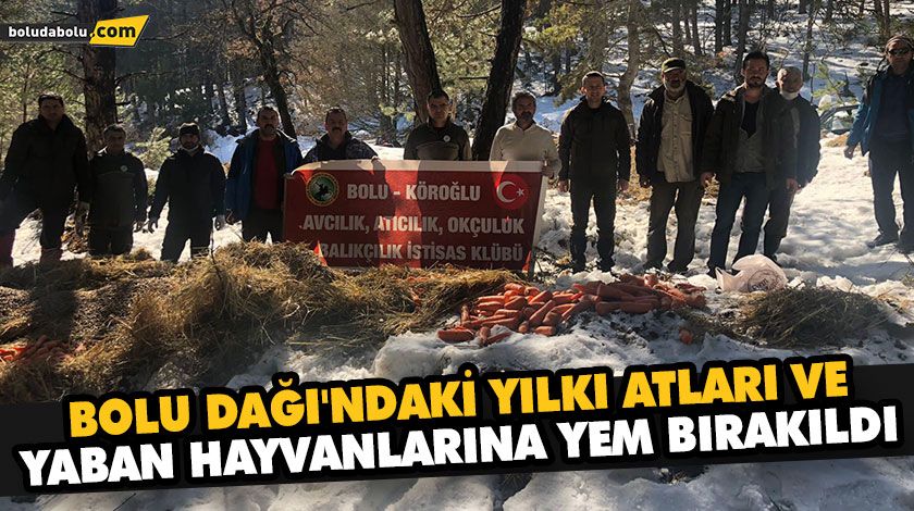 BOLU DAĞI’NDAKİ YILKI ATLARI VE YABAN HAYVANLARINA YEM BIRAKILDI BOLU DAĞI’NDAKİ YILKI ATLARI VE YABAN HAYVANLARINA YEM BIRAKILDI
