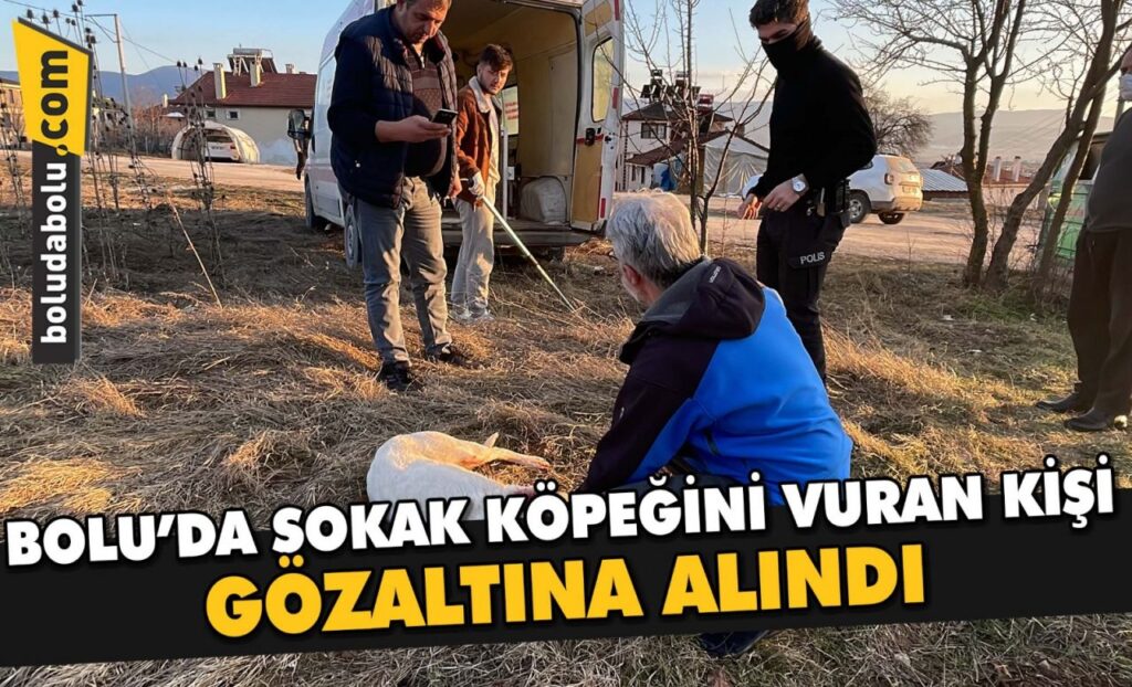 Bolu’da sokak köpeğini vuran kişi gözaltına alındı Bolu’da sokak köpeğini vuran kişi gözaltına alındı
