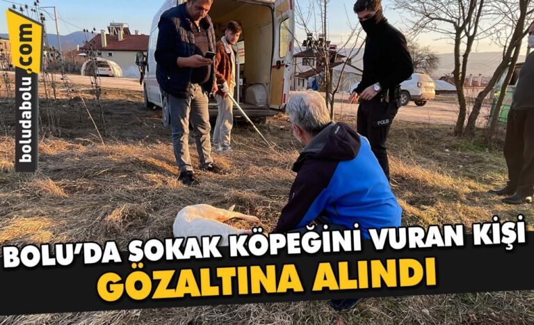 Bolu’da sokak köpeğini vuran kişi gözaltına alındı