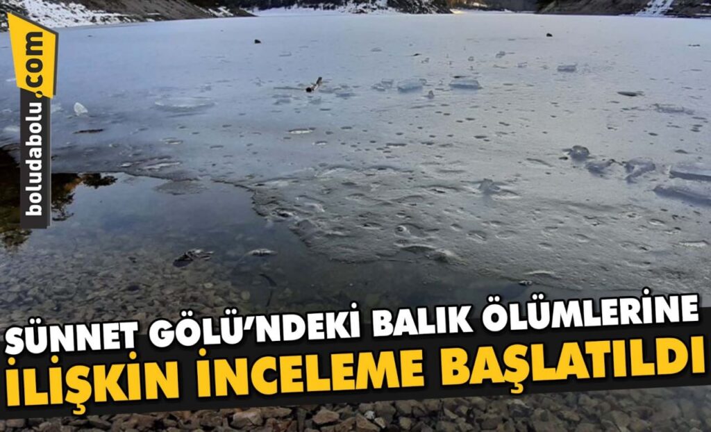 Sünnet Gölü’ndeki balık ölümlerine ilişkin inceleme başlatıldı Sünnet Gölü’ndeki balık ölümlerine ilişkin inceleme başlatıldı