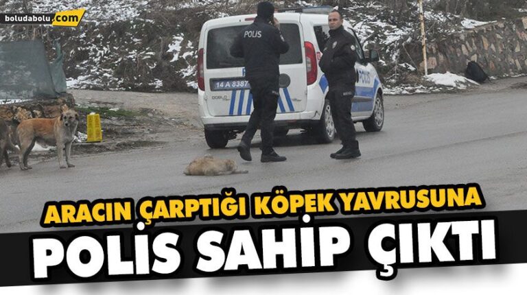 ARACIN ÇARPTIĞI KÖPEK YAVRUSUNA POLİS SAHİP ÇIKTI