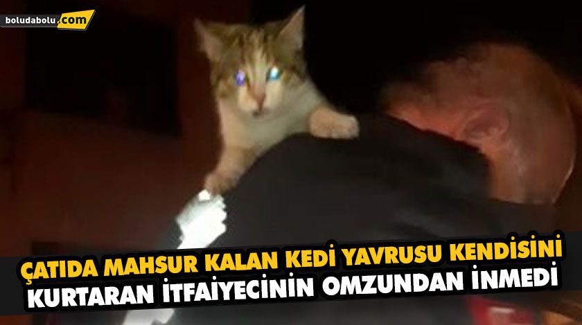 ÇATIDA MAHSUR KALAN KEDİ YAVRUSU KENDİSİNİ KURTARAN İTFAİYECİNİN OMZUNDAN İNMEDİ