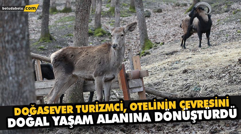 DOĞASEVER TURİZMCİ, OTELİNİN ÇEVRESİNİ DOĞAL YAŞAM ALANINA DÖNÜŞTÜRDÜ DOĞASEVER TURİZMCİ, OTELİNİN ÇEVRESİNİ DOĞAL YAŞAM ALANINA DÖNÜŞTÜRDÜ
