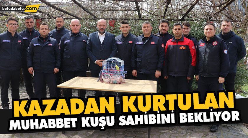 KAZADAN KURTULAN MUHABBET KUŞU SAHİBİNİ BEKLİYOR KAZADAN KURTULAN MUHABBET KUŞU SAHİBİNİ BEKLİYOR