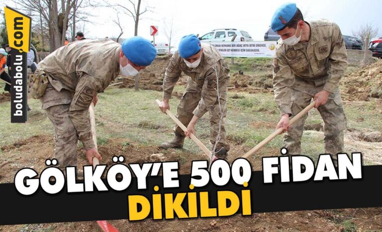 GÖLKÖY’E 500 FİDAN DİKİLDİ
