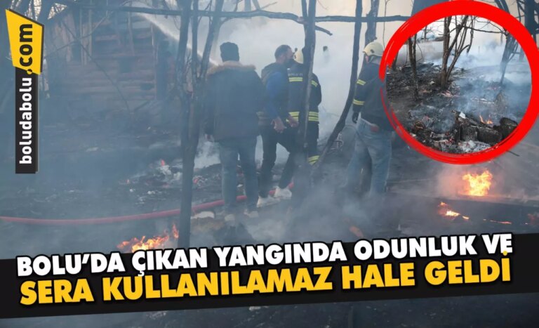 Bolu’da çıkan yangında odunluk ve sera kullanılamaz hale geldi