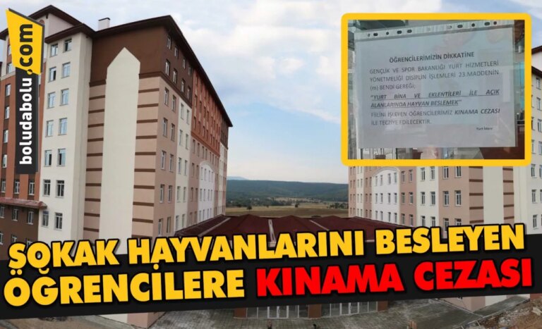 Sokak hayvanlarını besleyen öğrencilere kınama cezası