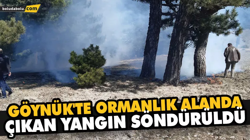 GÖYNÜK’TE ORMANLIK ALANDA ÇIKAN YANGIN SÖNDÜRÜLDÜ GÖYNÜK’TE ORMANLIK ALANDA ÇIKAN YANGIN SÖNDÜRÜLDÜ