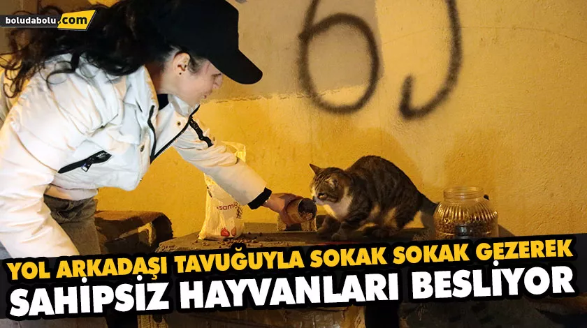 YOL ARKADAŞI TAVUĞUYLA SOKAK SOKAK GEZEREK SAHİPSİZ HAYVANLARI BESLİYOR YOL ARKADAŞI TAVUĞUYLA SOKAK SOKAK GEZEREK SAHİPSİZ HAYVANLARI BESLİYOR