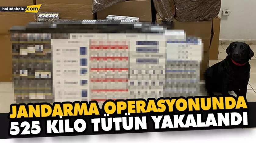 JANDARMA OPERASYONUNDA 525 KİLO TÜTÜN YAKALANDI JANDARMA OPERASYONUNDA 525 KİLO TÜTÜN YAKALANDI