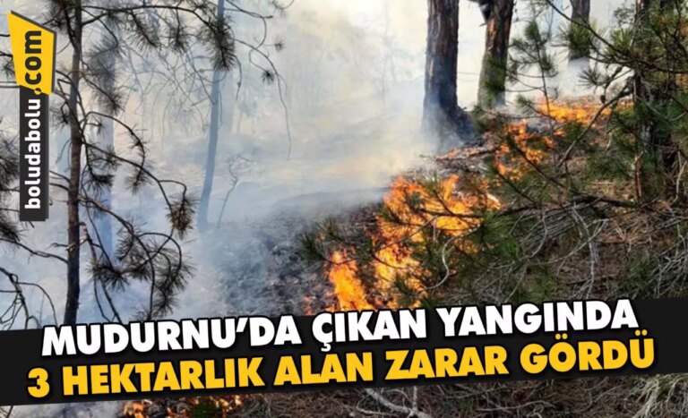Bolu’da örtü yangını söndürüldü