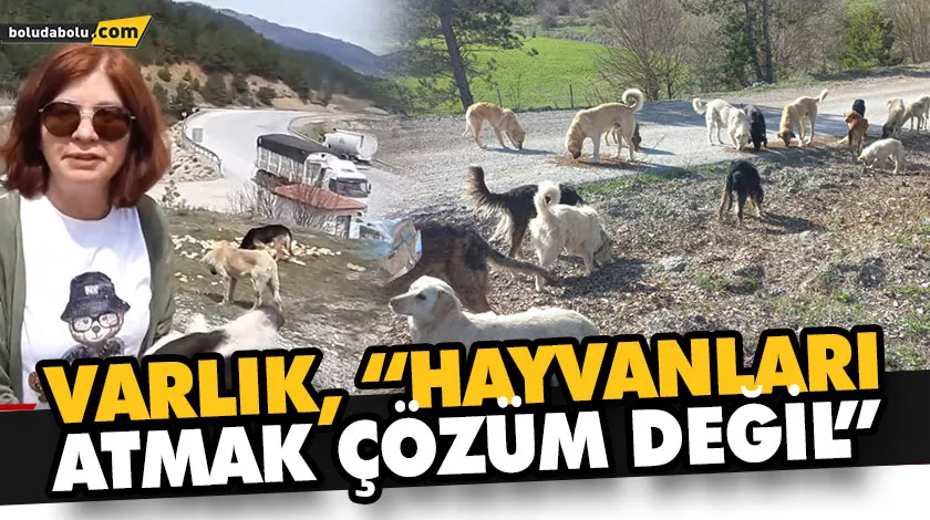 VARLIK, “HAYVANLARI ATMAK ÇÖZÜM DEĞİL” VARLIK, “HAYVANLARI ATMAK ÇÖZÜM DEĞİL”