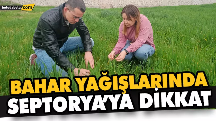 BAHAR YAĞIŞLARINDA SEPTORYA’YA DİKKAT