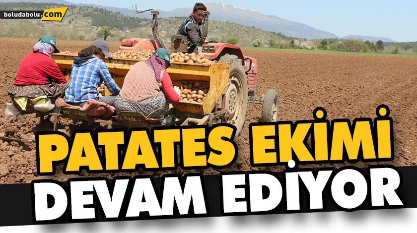 PATATES TOPRAĞA EKİLMEYE DEVAM EDİYOR PATATES TOPRAĞA EKİLMEYE DEVAM EDİYOR