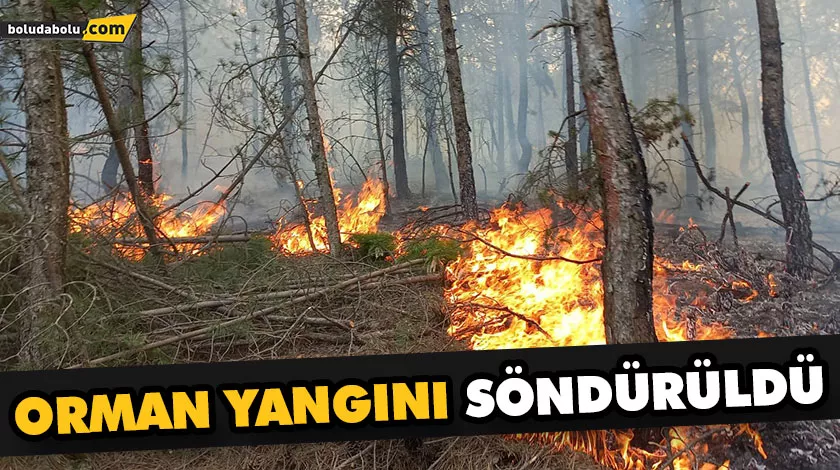 ORMAN YANGINI SÖNDÜRÜLDÜ ORMAN YANGINI SÖNDÜRÜLDÜ