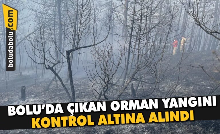 Bolu’da çıkan orman yangını kontrol altına alındı