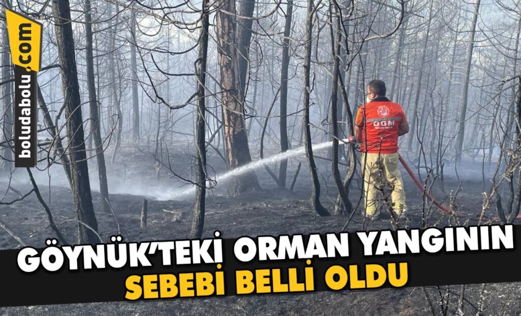 Bolu’daki orman yangını söndürüldü Bolu’daki orman yangını söndürüldü
