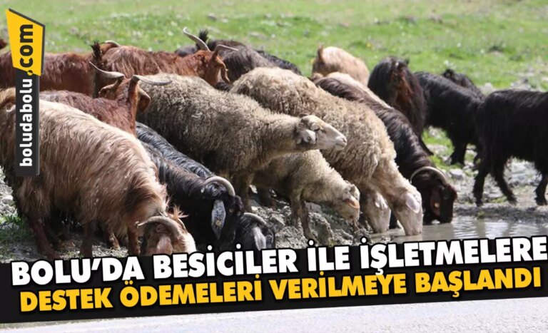 Bolu’da besiciler ile işletmelere destek ödemeleri verilmeye başlandı