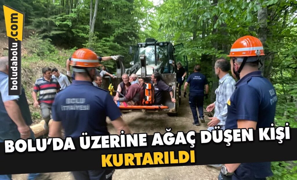 Bolu’da üzerine ağaç düşen kişi kurtarıldı Bolu’da üzerine ağaç düşen kişi kurtarıldı