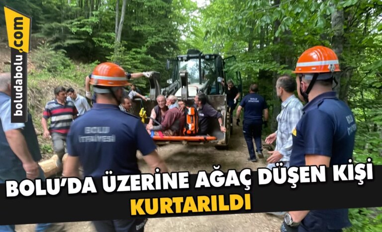 Bolu’da üzerine ağaç düşen kişi kurtarıldı