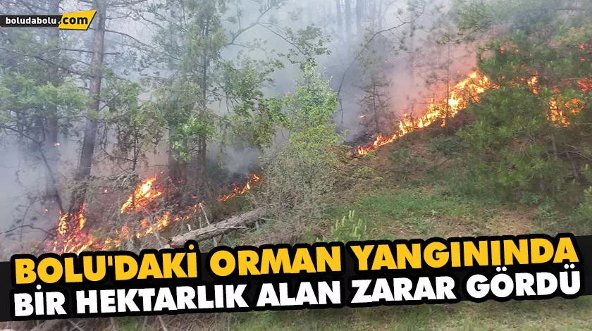 BOLU’DAKİ ORMAN YANGININDA BİR HEKTARLIK ALAN ZARAR GÖRDÜ BOLU’DAKİ ORMAN YANGININDA BİR HEKTARLIK ALAN ZARAR GÖRDÜ