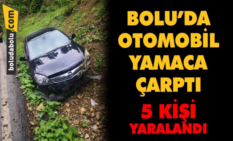 Bolu’da yamaca çarpan otomobildeki 5 kişi yaralandı