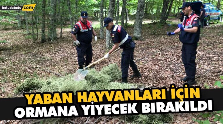 MENGEN’DE YABAN HAYVANLARI İÇİN ORMANA YİYECEK BIRAKILDI