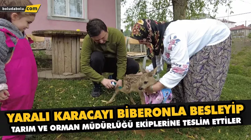 YARALI KARACAYI BİBERONLA BESLEYİP TARIM VE ORMAN MÜDÜRLÜĞÜ EKİPLERİNE TESLİM ETTİLER YARALI KARACAYI BİBERONLA BESLEYİP TARIM VE ORMAN MÜDÜRLÜĞÜ EKİPLERİNE TESLİM ETTİLER